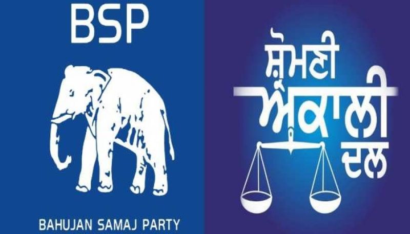BSP-SAD alliance 