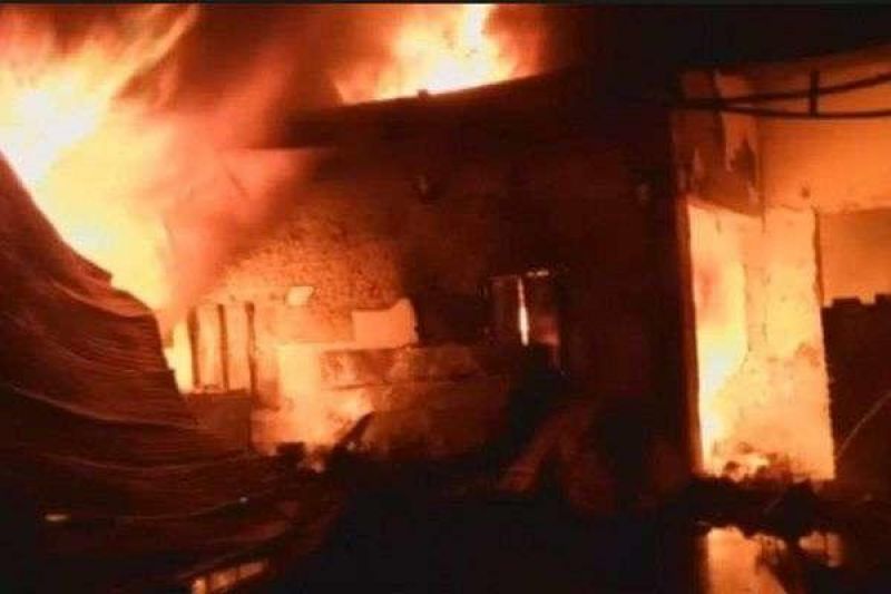 In the UP, pet dog saved life of 30 people