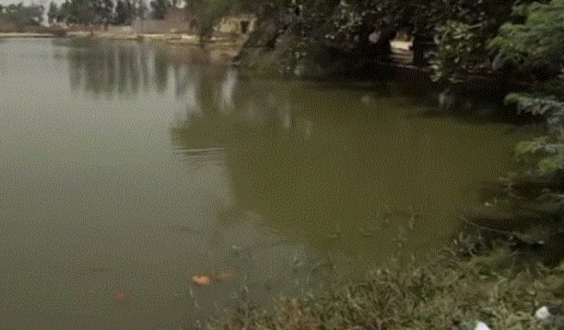 CANCER increses day by day in Malwa region of punjab 