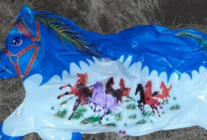 Pakistani balloon recovered at international border