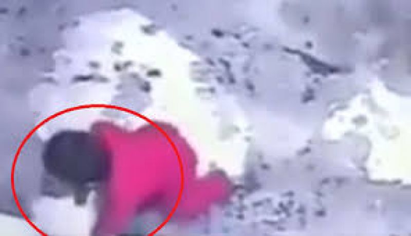 Cat save 1 year old baby life