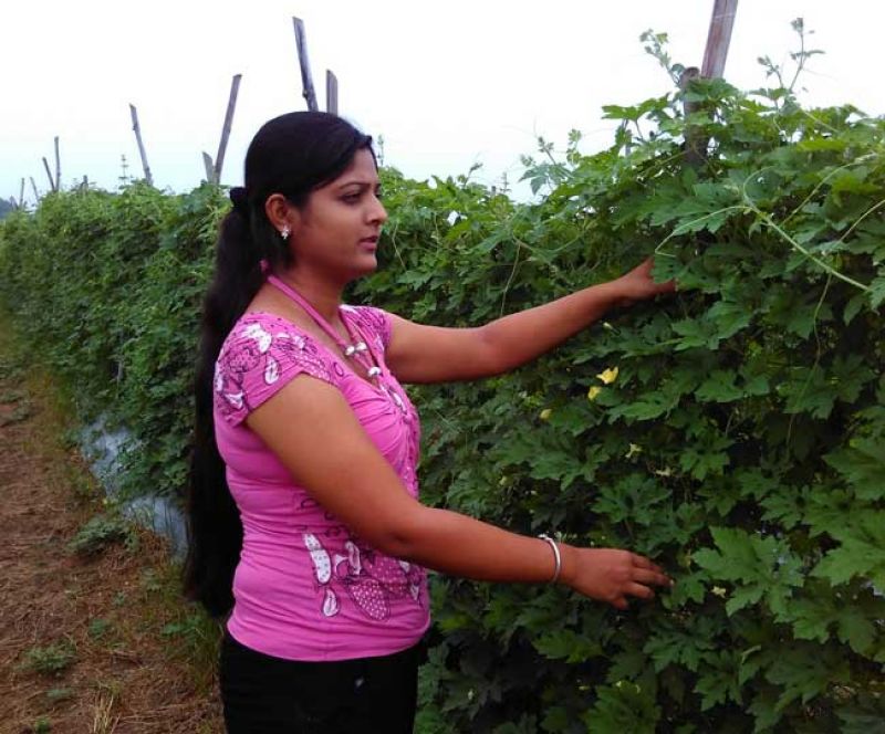 princes on 26 acres of land 'Wallari'