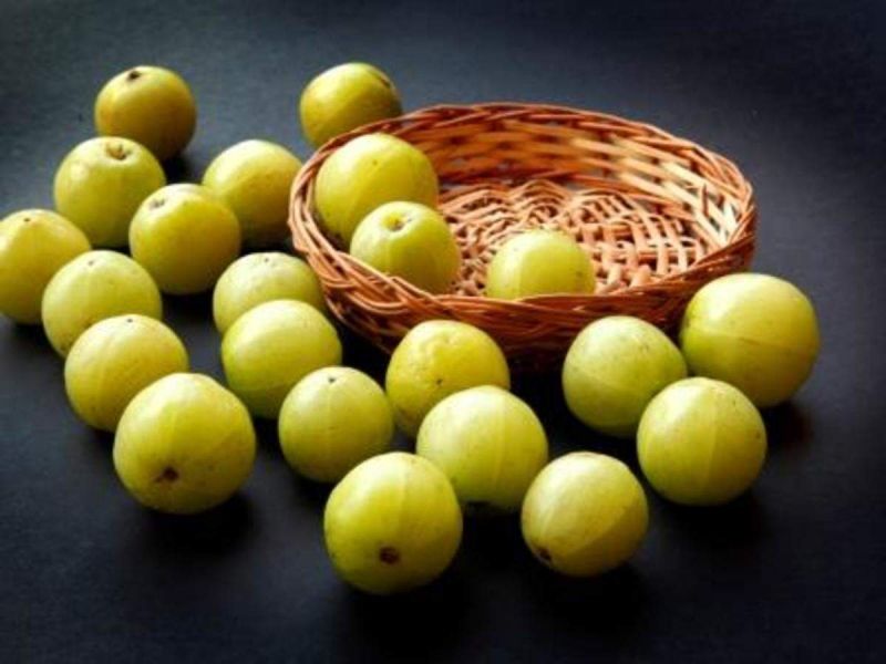 amla
