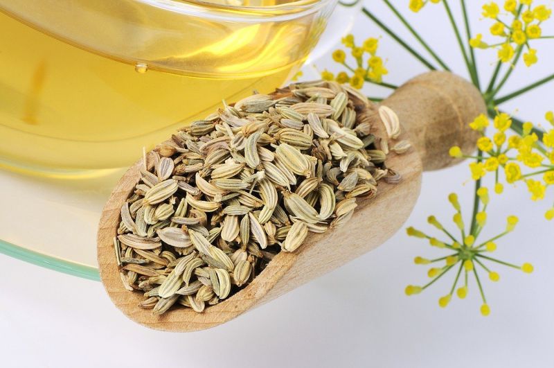 Fennel is good for health