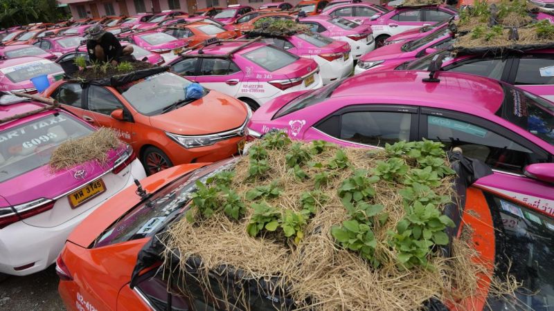  (Farming on the roofs of taxis in Thailand) 