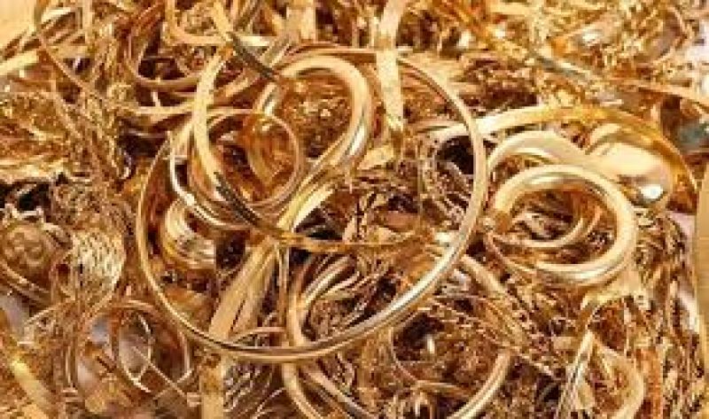 Haryana Bull Swallowed gold Jjewellery