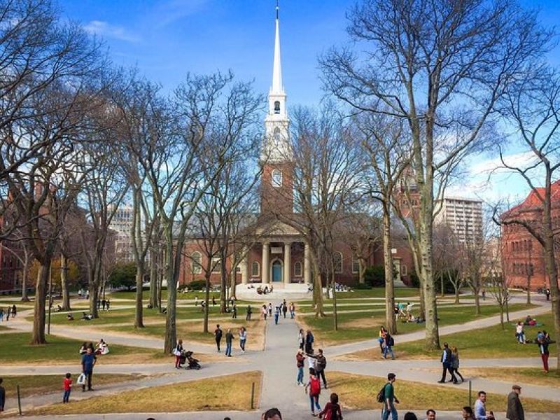 Harvard University