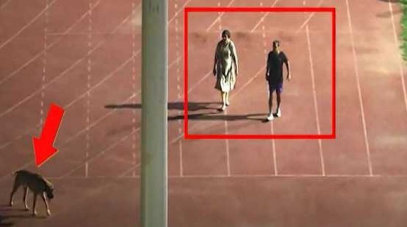 IAS couple transferred