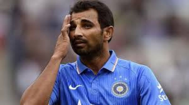 Can Not play IPL Mohammed Shami