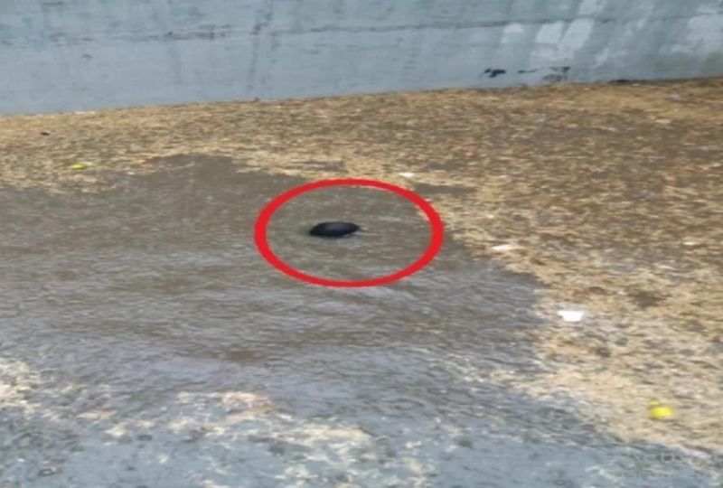 Three innocents drowned in a pit filled with water