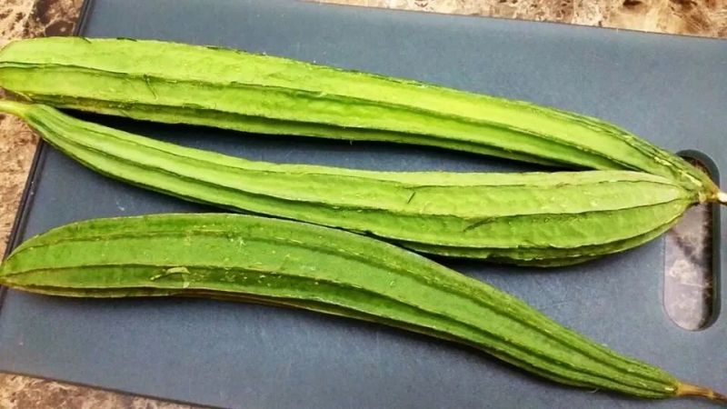 Luffa is useful in summer