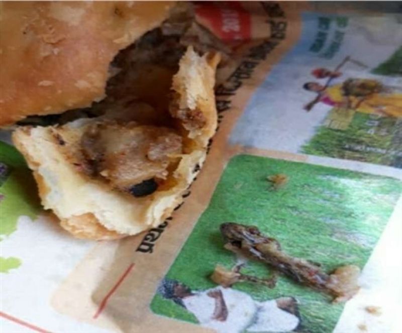 lizard found in samosa ordered at hotel