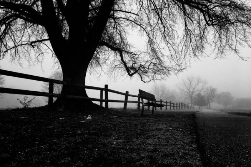 shimla s haunted place being turned into children park 