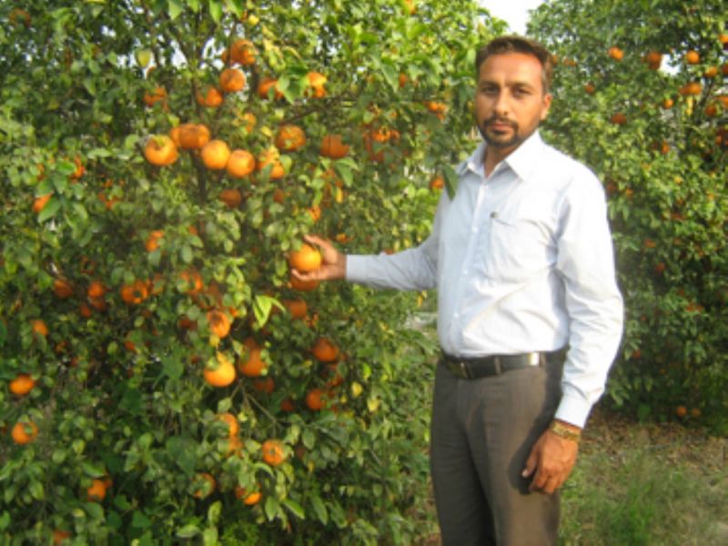 Amarjit Singh Dhillon 