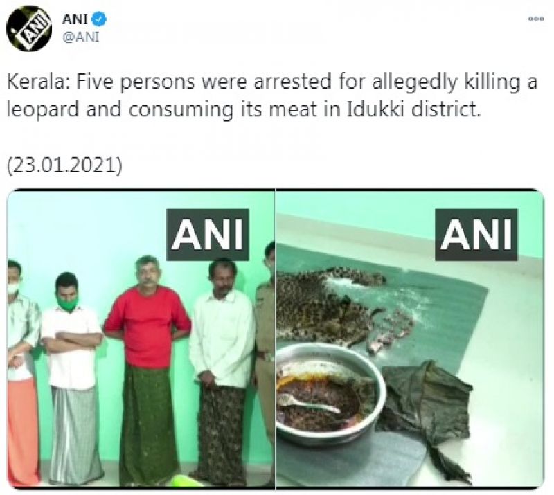 kerala kerala