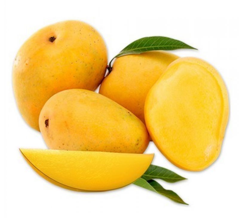 chausa mango