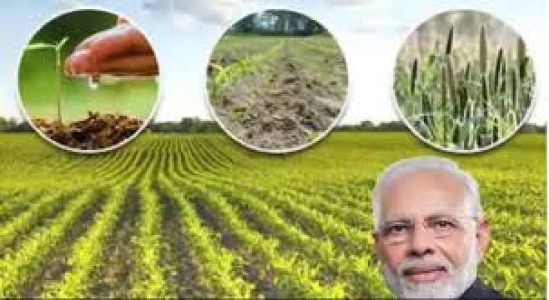 Pradhan Mantri Kisan Samman Nidhi SchemePradhan Mantri Kisan Samman Nidhi Scheme