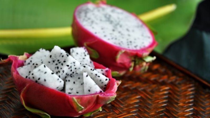 Pitaya Fruit