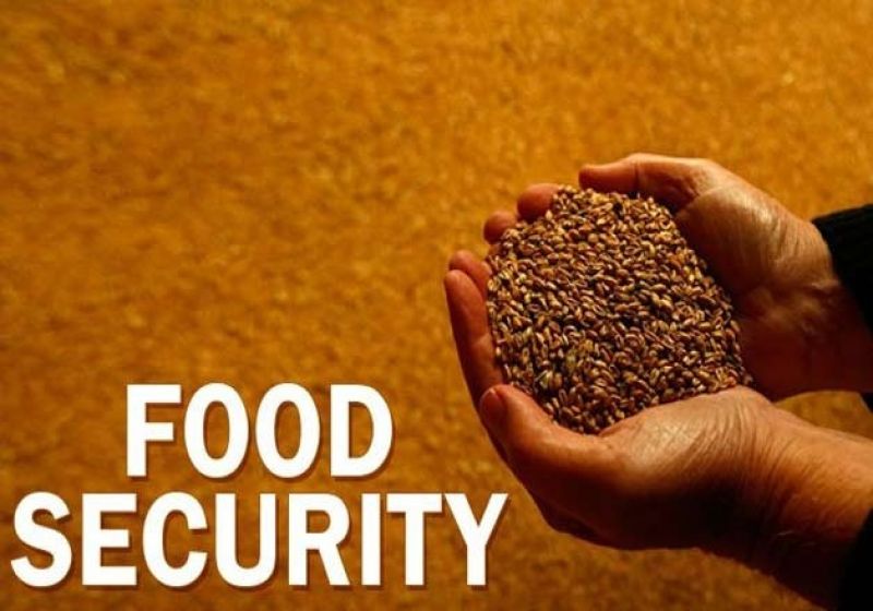 Food security