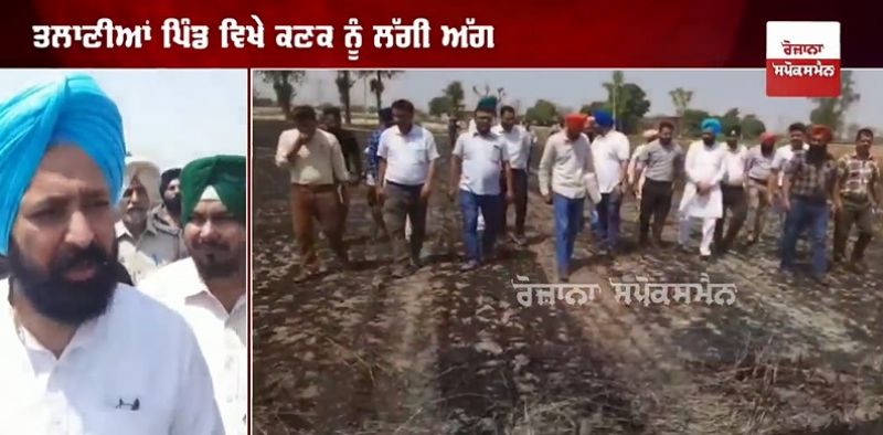 32 acres of wheat crop burnt to ashes