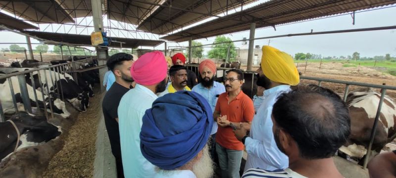 Cabinet Minister visited villages of District Tarn Taran along with animal experts