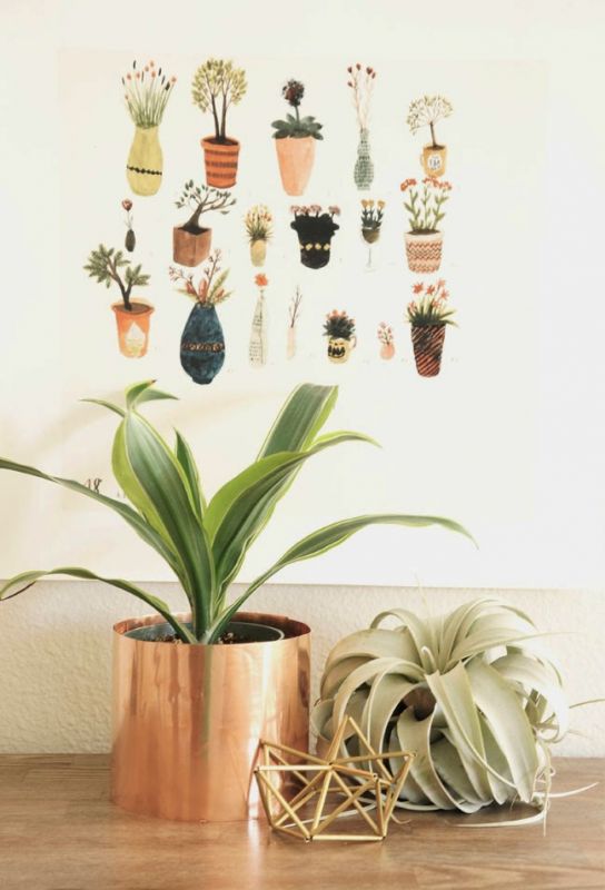 Keep flowers fresh for long