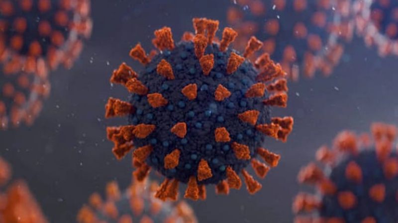 Coronavirus