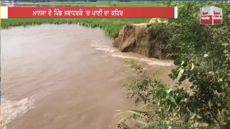 Mansa dams crops farmers