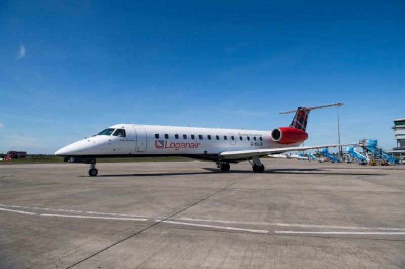 Pilot stops plane to let baby hedgehog cross the runway 