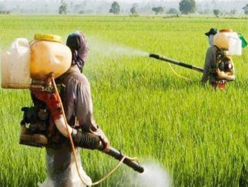 Centre to launch pension scheme for small farmers