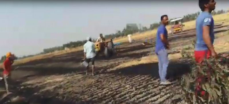 Wheat in farm burnt in  in Ferozepur