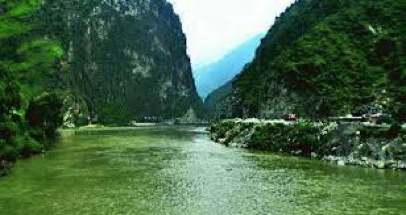  Due to availability of toxic chemicals in river Beas