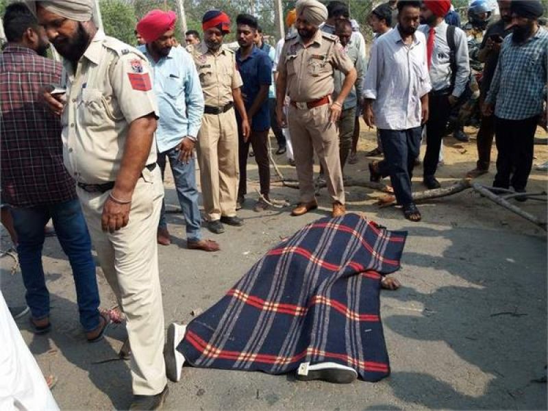 Tree fallen on youth, Instant death 