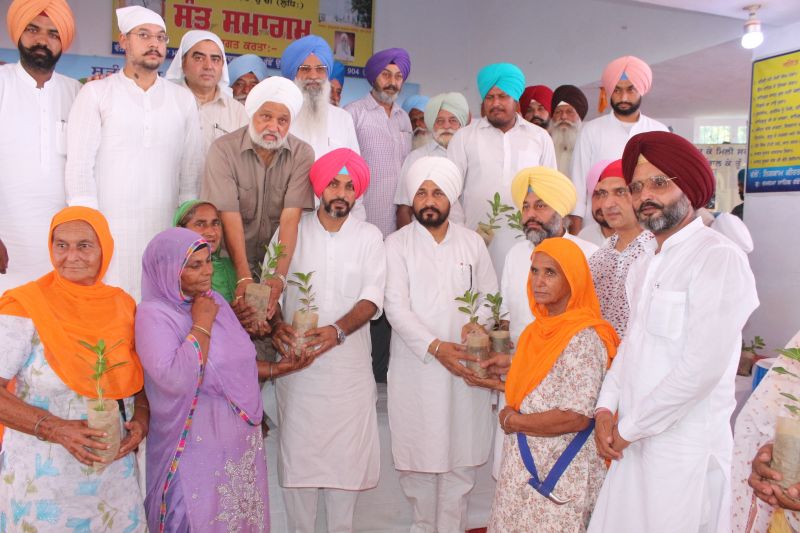 Channi distribute plants