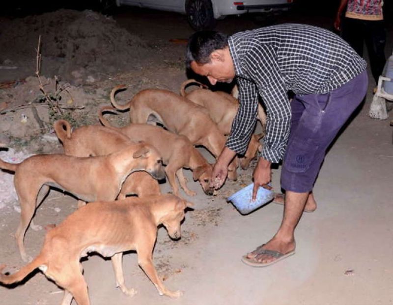 In this Gujarat village, canines are crorepatis