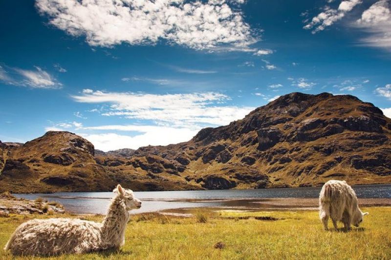 Cajas National Park 