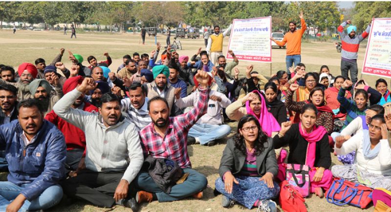 Contract Basis Employees