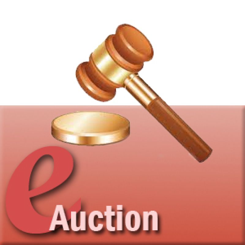 E Auction 