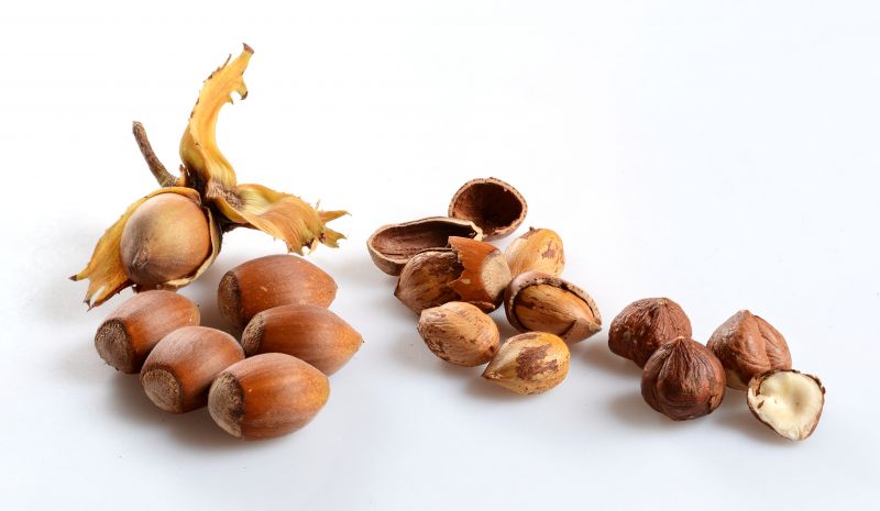 Hazelnuts