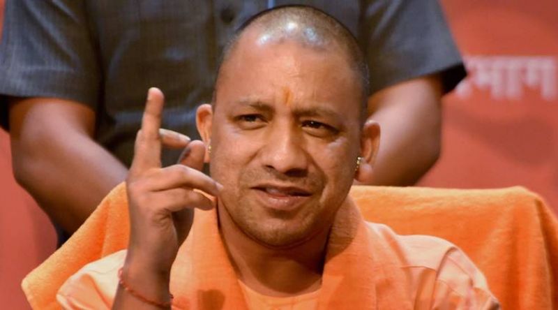  cm yogi
