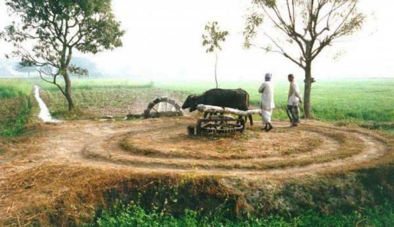 ਪੰਜਾਬ ਦੇ ਲੋਕ ਕਿਤੇ