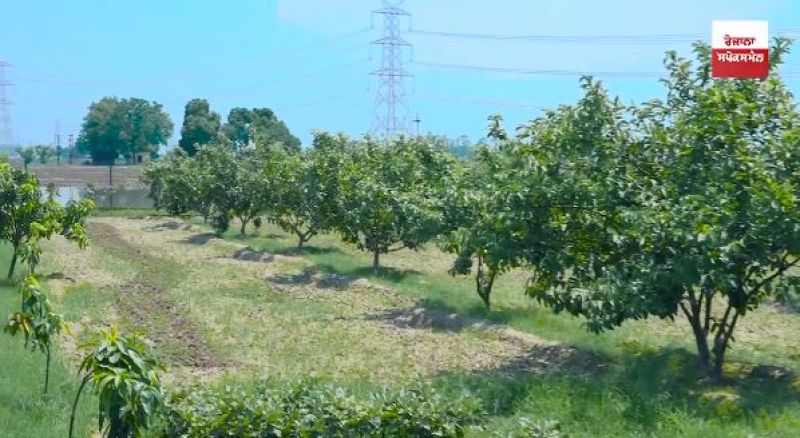 Khetan De Putt Interview