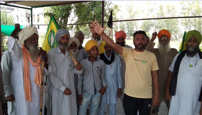 Permanent sheds built by farmers in Punjab 