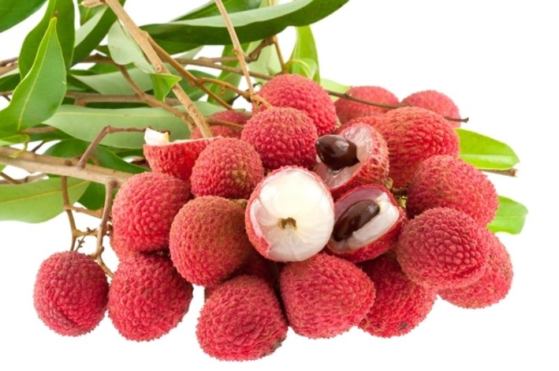 Lychee