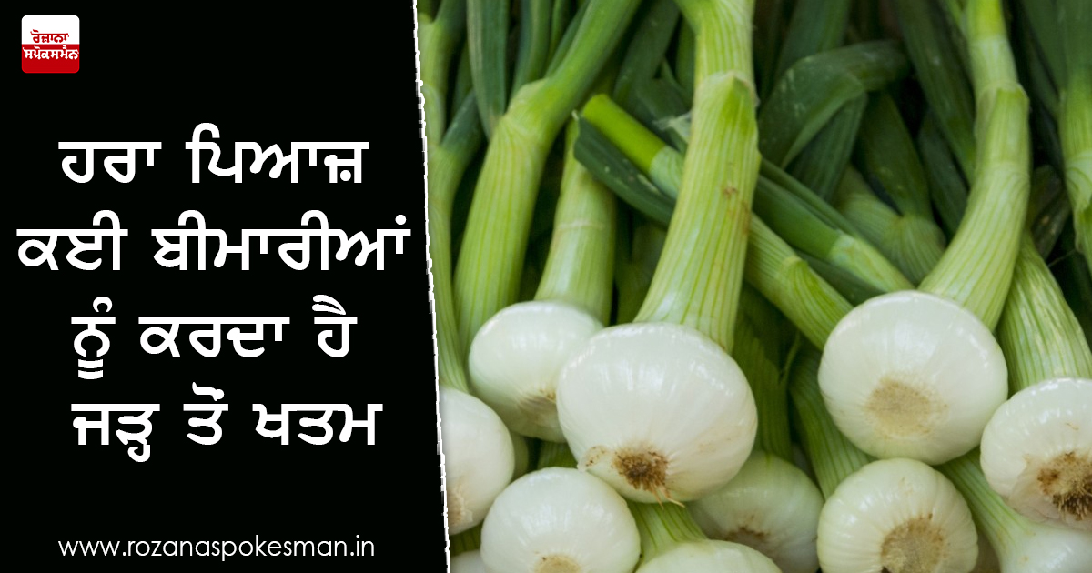 ਹਰਾ ਪਿਆਜ਼ ਬੜਾ ਹੀ ਫਾਇਦੇਮੰਦ