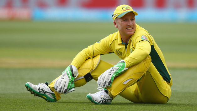 Brad Haddin