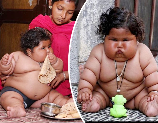 ਉਮਰ 8 ਮਹੀਨੇ ਤੇ ਭਾਰ 20 Kg ਤੋਂ ਜਿਆਦਾ, ਖੁਰਾਕ ਪੂਰੇ ਪਰਿਵਾਰ ਬਰਾਬਰ   