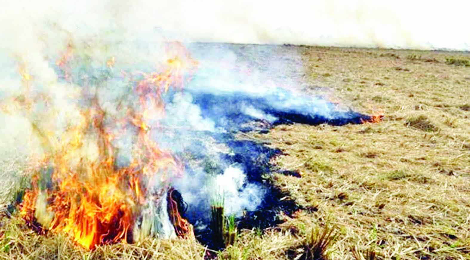 Image result for à¨ªà¨°à¨¾à¨²à©